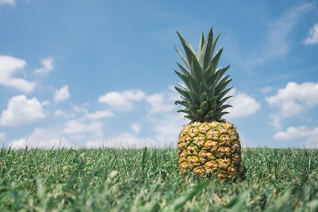 Het geheim van een gezonde ananasplant: een compleet verzorgingsplan