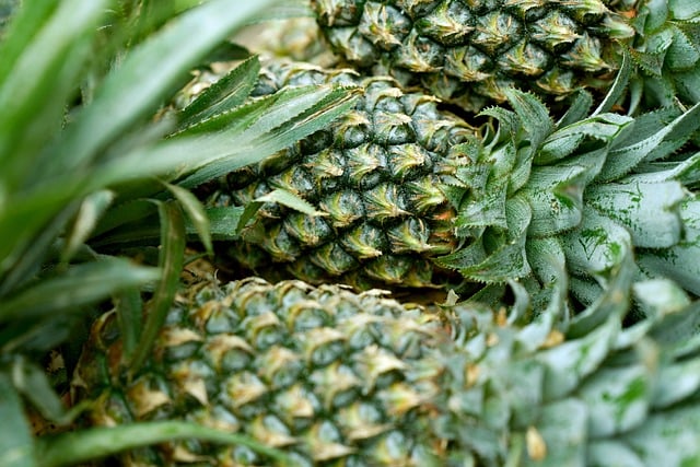 Het groeiproces van een ananasplant: van zaadje tot vrucht