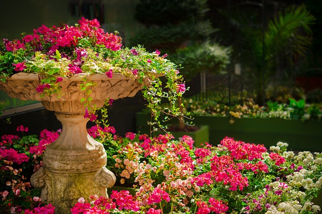 De mooiste bloemen en planten voor je tuin